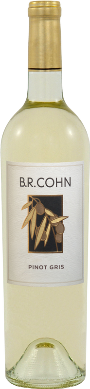 2023 Pinot Gris, North Coast